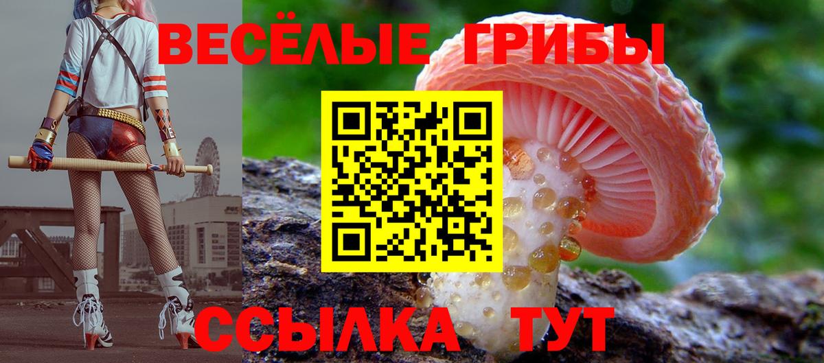 Галлюциногенные грибы Magic Shrooms  Псилоцибиновые грибы GOLDEN TEACHER  купить наркотики цена  Вход с VPN  Южно-Сахалинск 